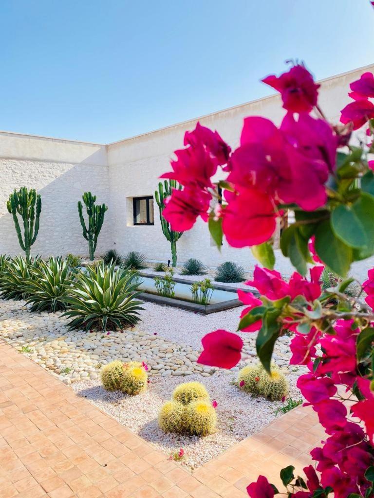 Le Clos De La Roussiere เอสเซาอิรา ภายนอก รูปภาพ