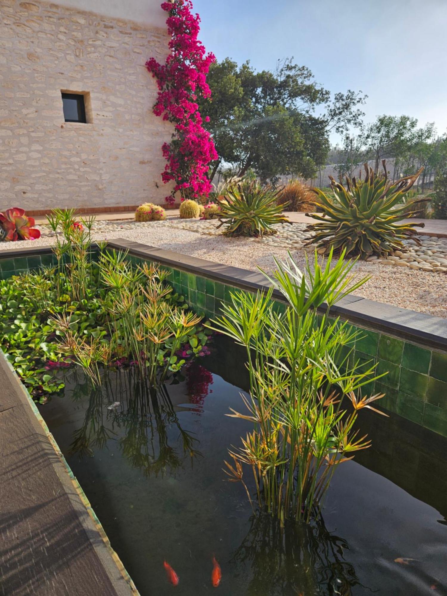 Le Clos De La Roussiere เอสเซาอิรา ภายนอก รูปภาพ