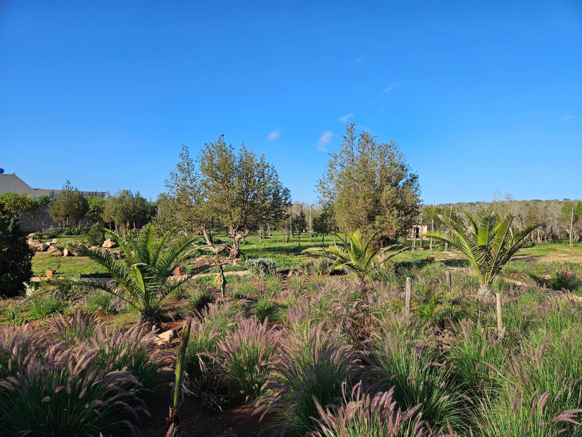 Le Clos De La Roussiere เอสเซาอิรา ภายนอก รูปภาพ